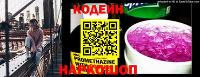 амф Дубна