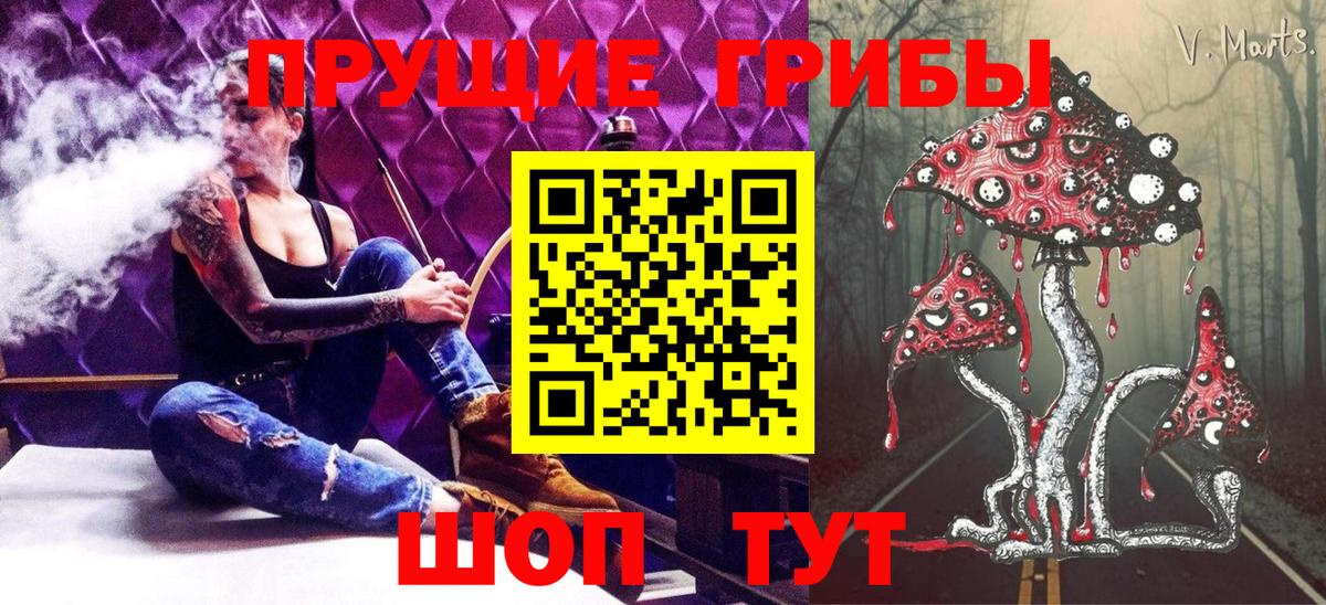 Псилоцибиновые грибы Cubensis Междуреченск