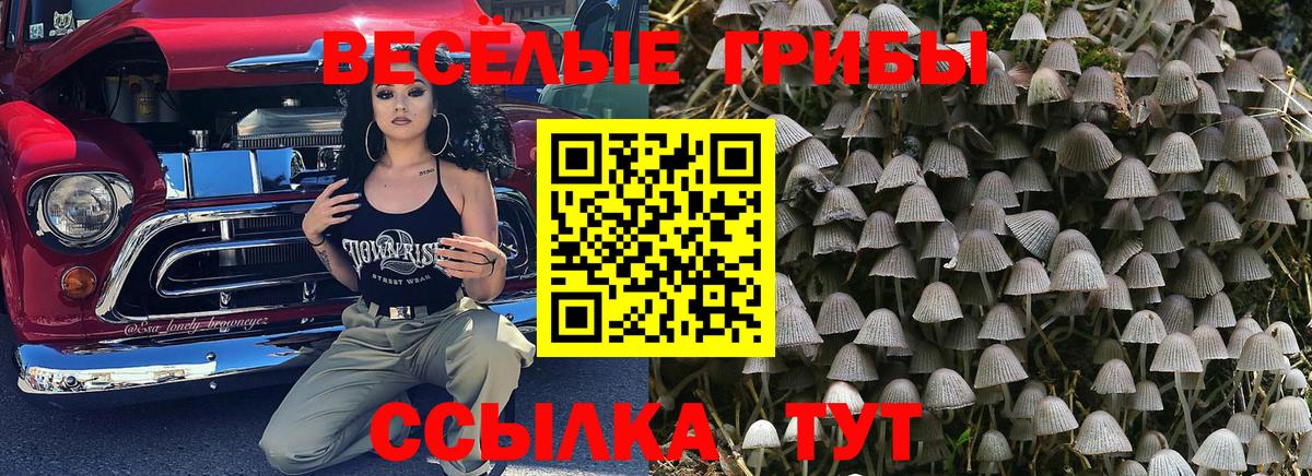 Галлюциногенные грибы прущие грибы  Вход с VPN  Междуреченск  Галлюциногенные грибы мицелий 